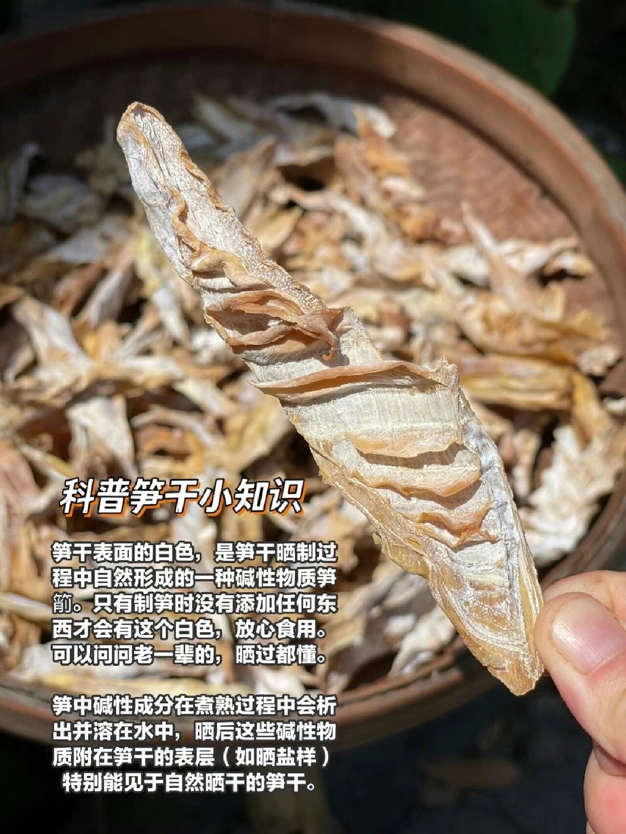 笋干科普小知识你都了解吗