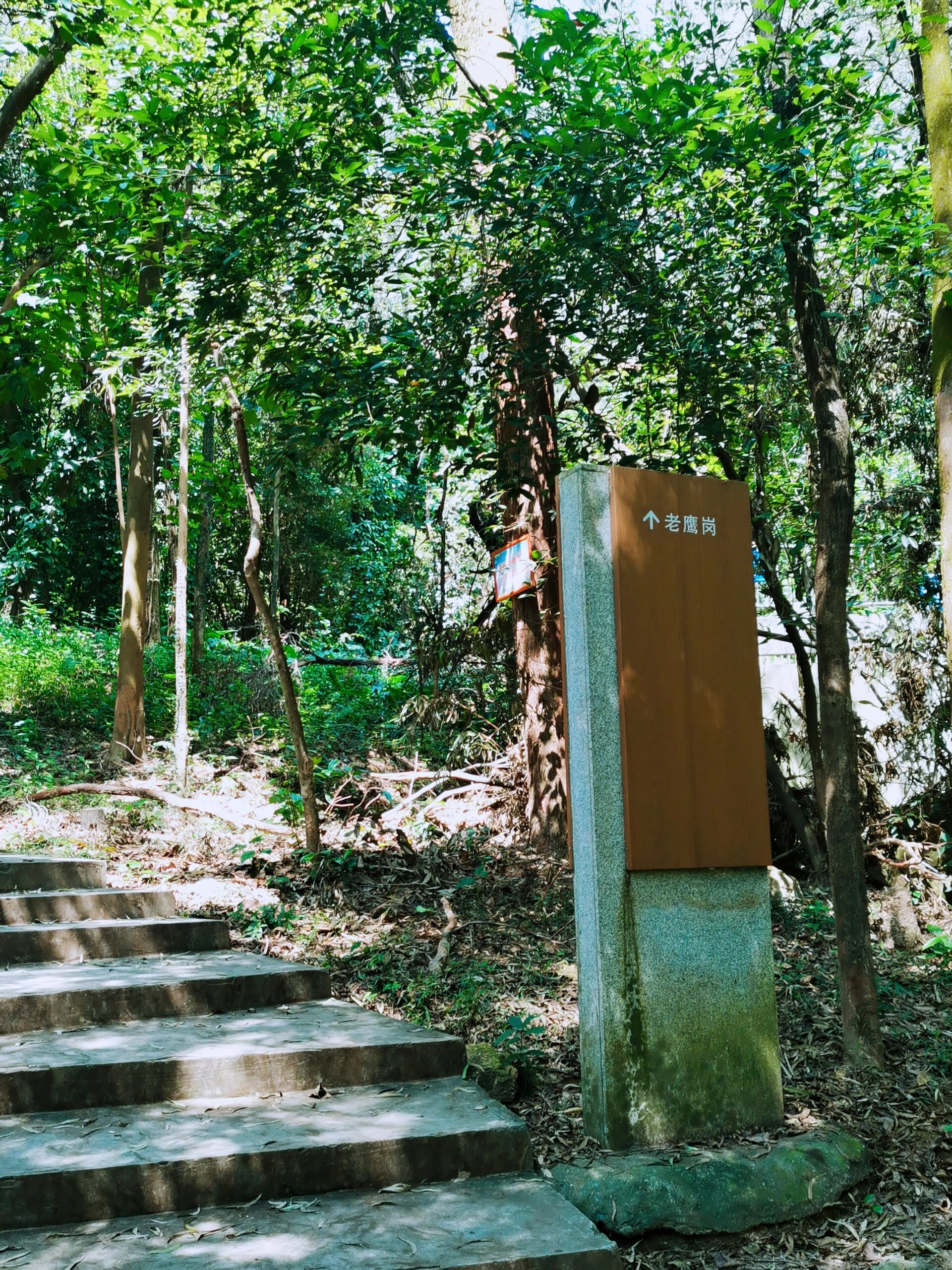 番禺滴水岩森林公园