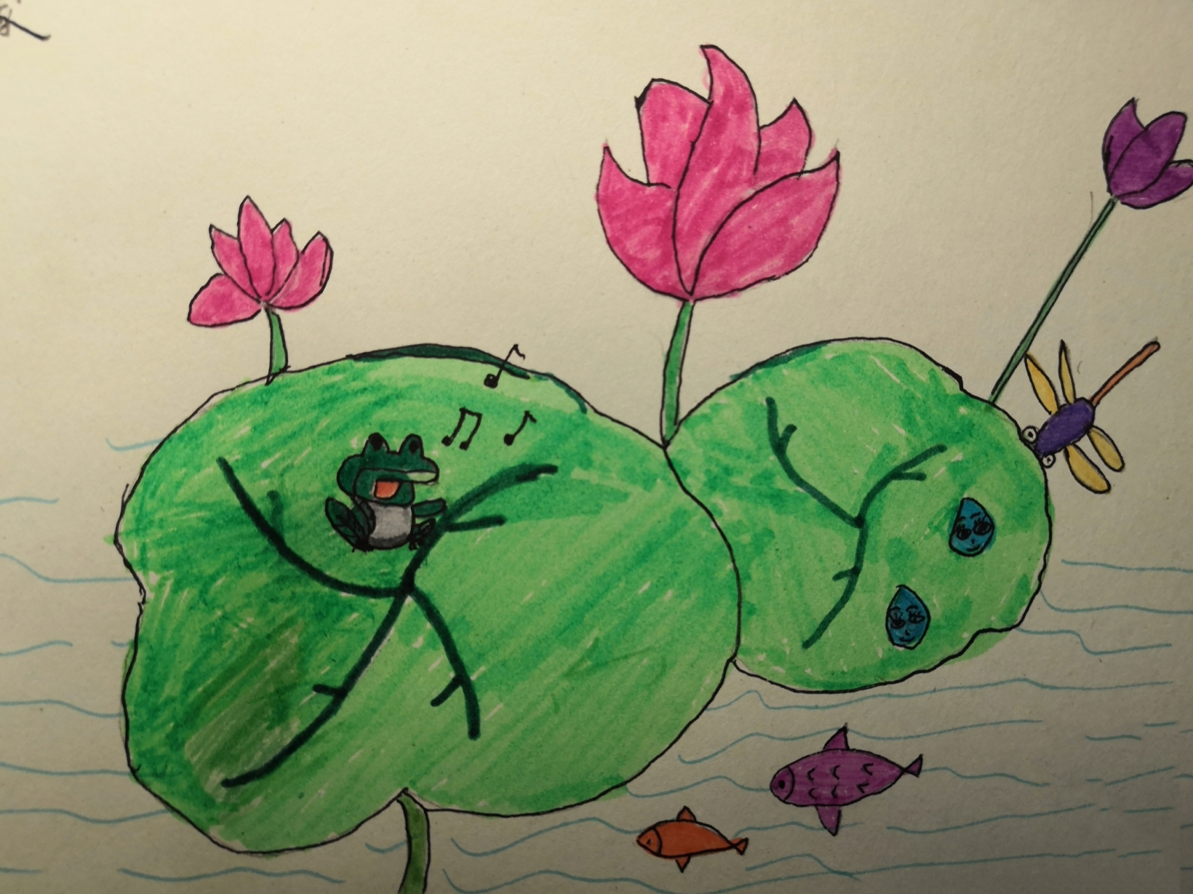 一下语文《荷叶圆圆》手画