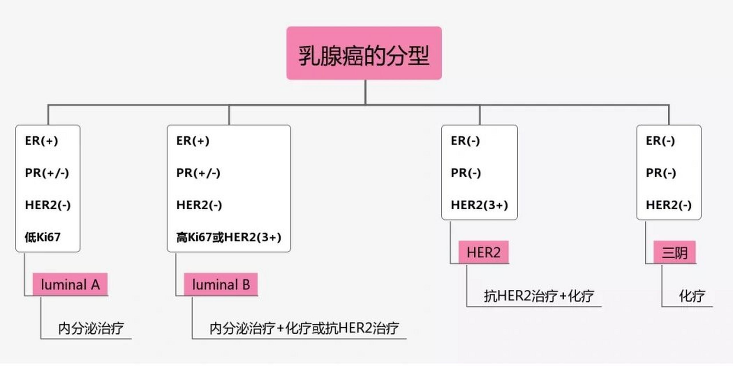 病理报告的免疫组化指标:er,pr,her-2,ki67�免疫组化 1️⃣er