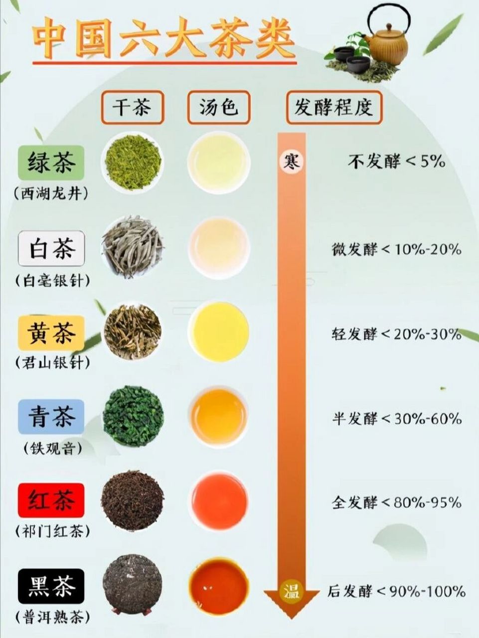喝茶常识丨快速分辨六大茶类 绿白黄青红黑 🍃🍵 1⃣绿茶 天然