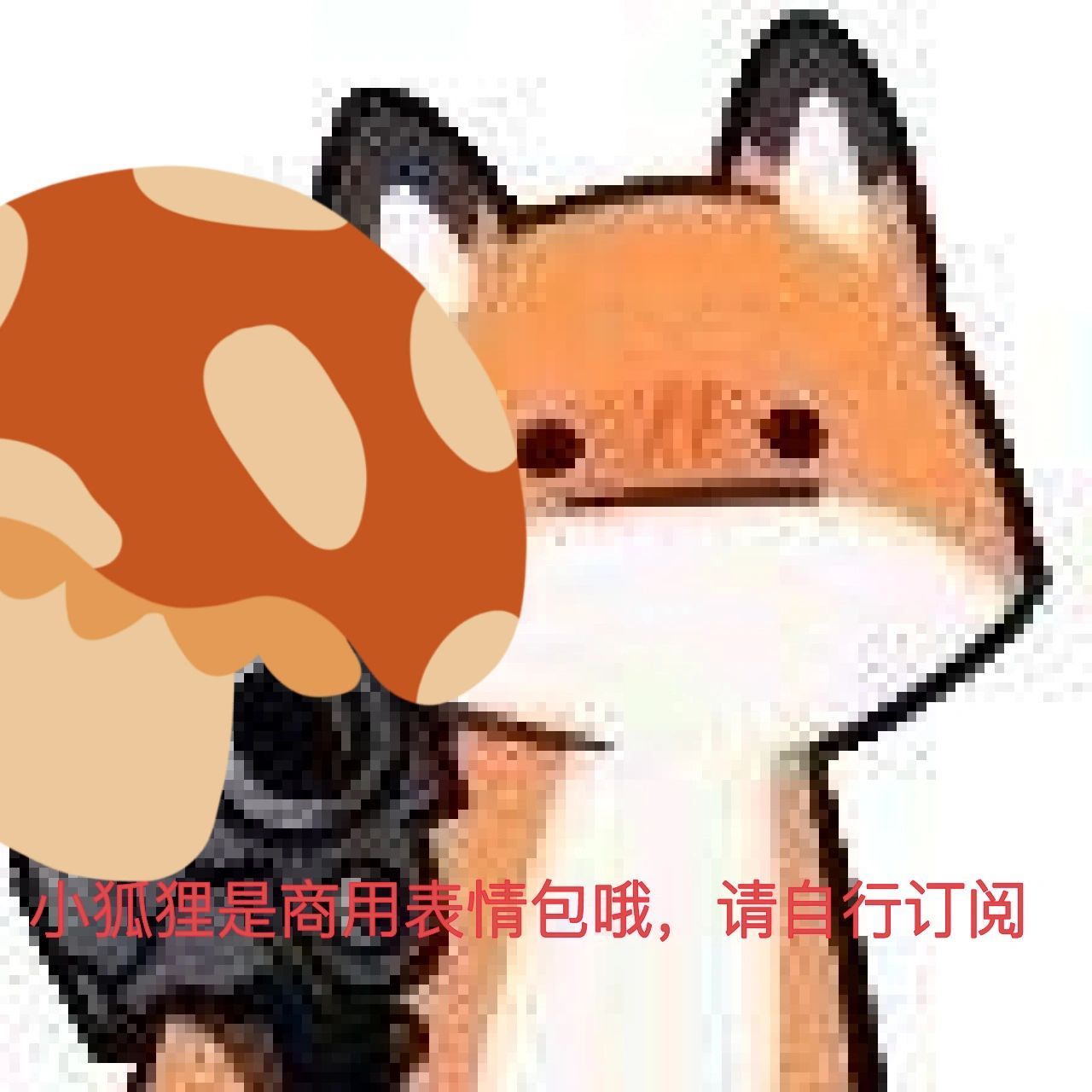 这个小狐狸表情包系列哪里有!