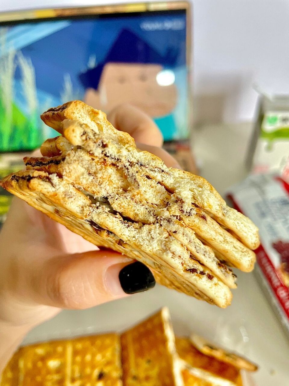 新加坡饼干尊滴额滴个神 最爱的饼干没有之一 康元的提子饼干 在我心