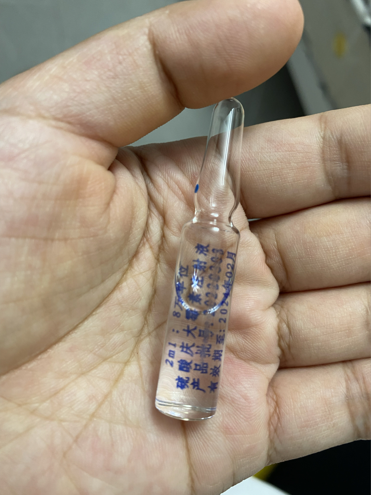 猫咪支气管炎(下呼吸道感染)自救方法