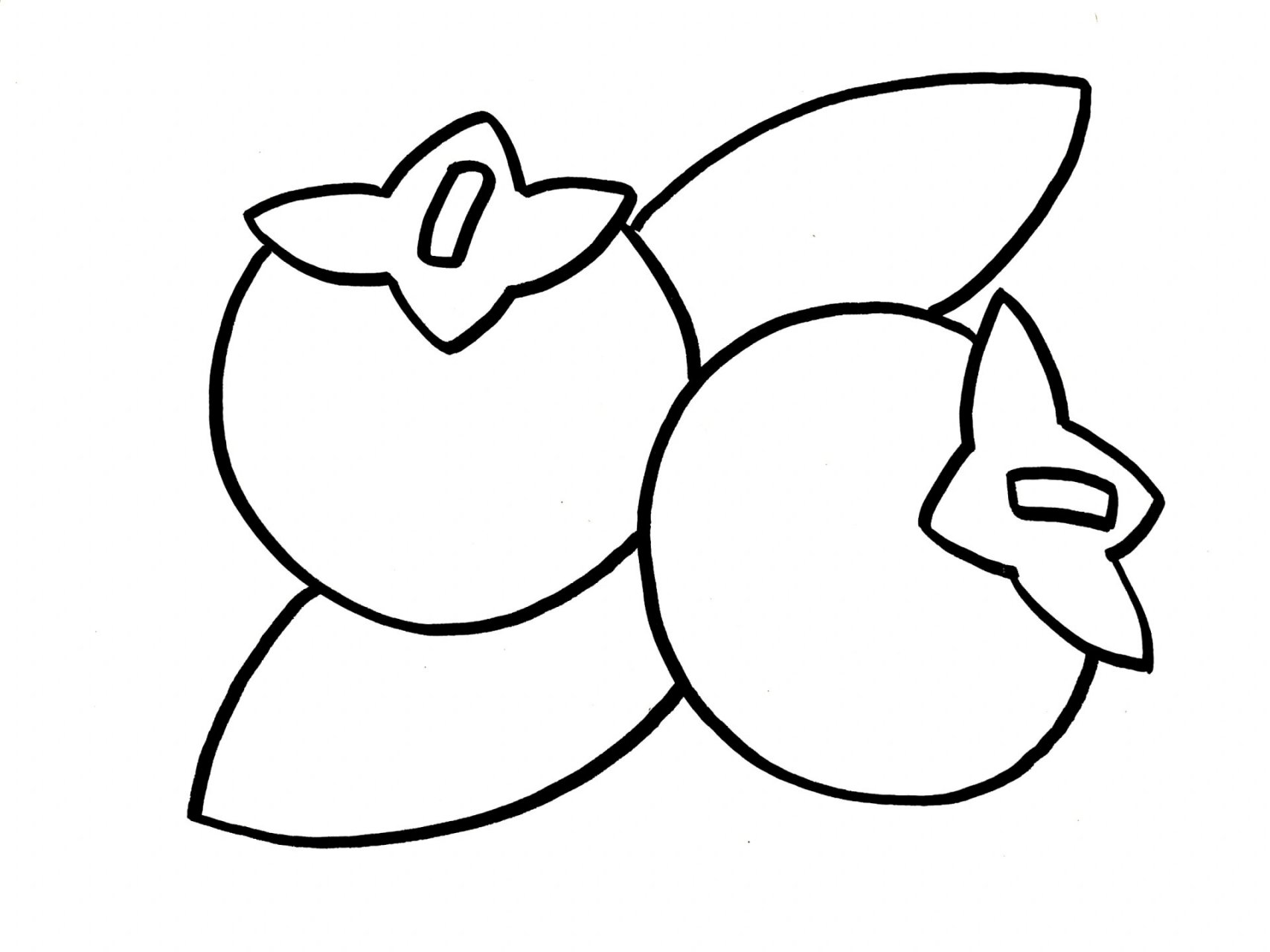 粘贴画《柿子》