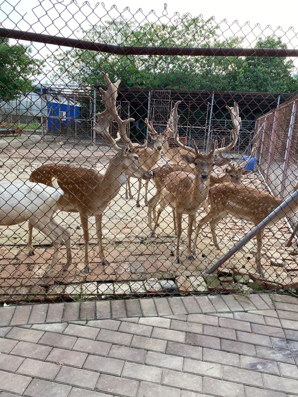 镇江人自己的游乐场—遛娃好去处 镇江世业洲开心休博园 一张门票包含