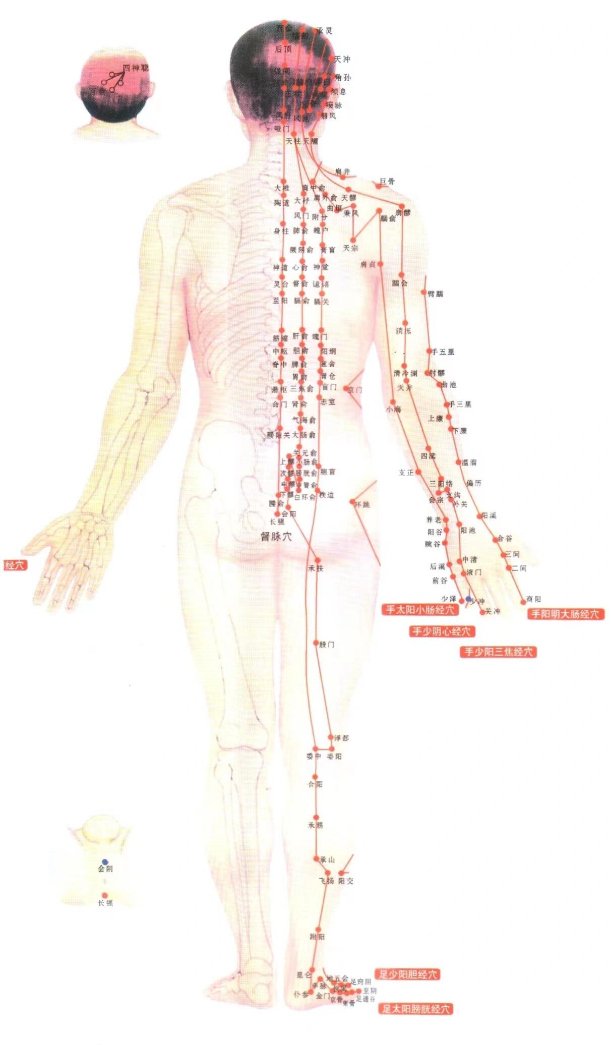 人体经络部位图