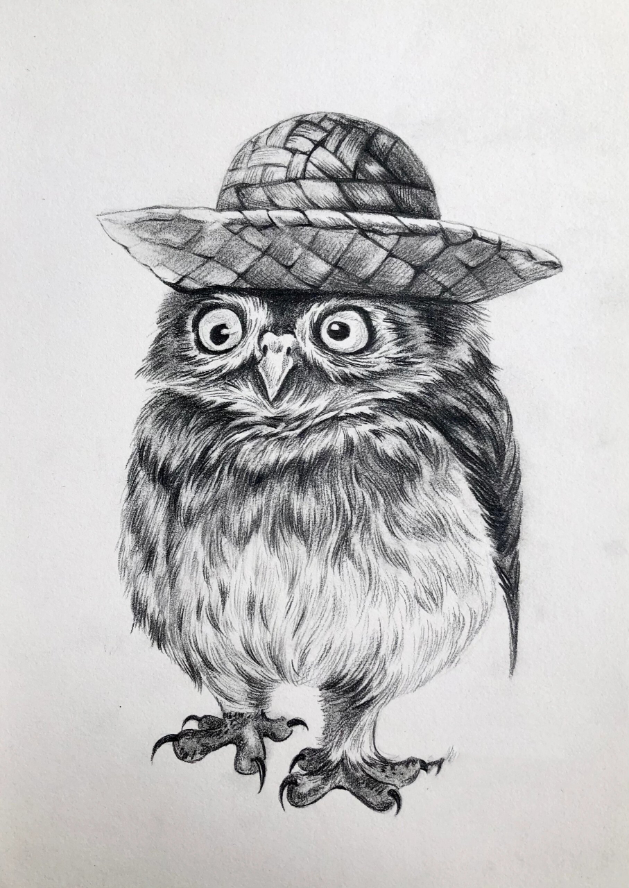 简单素描合集 近期画素描的很多,一般10岁以上就开始接触彩铅素描了