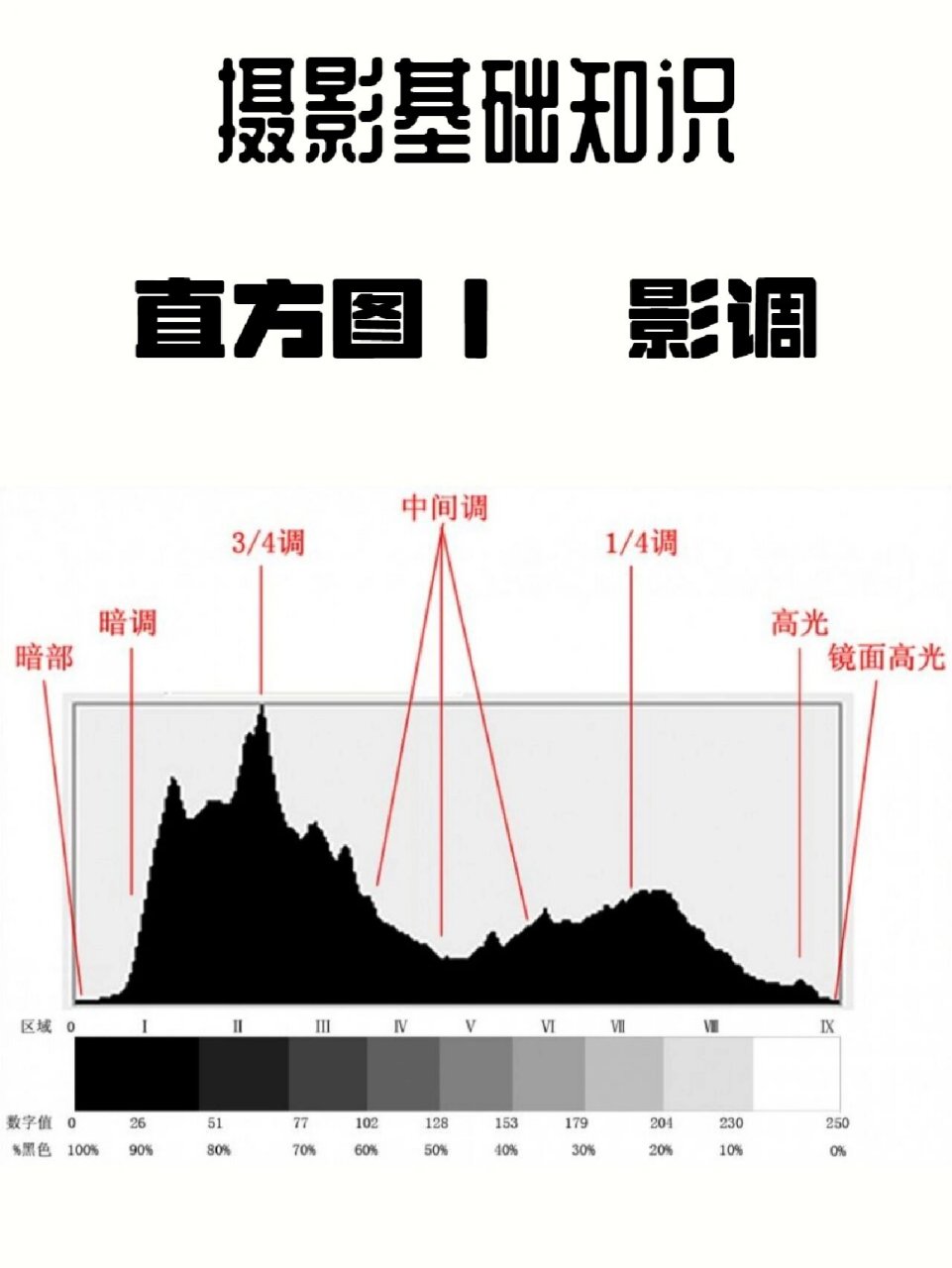 直方图作用图片