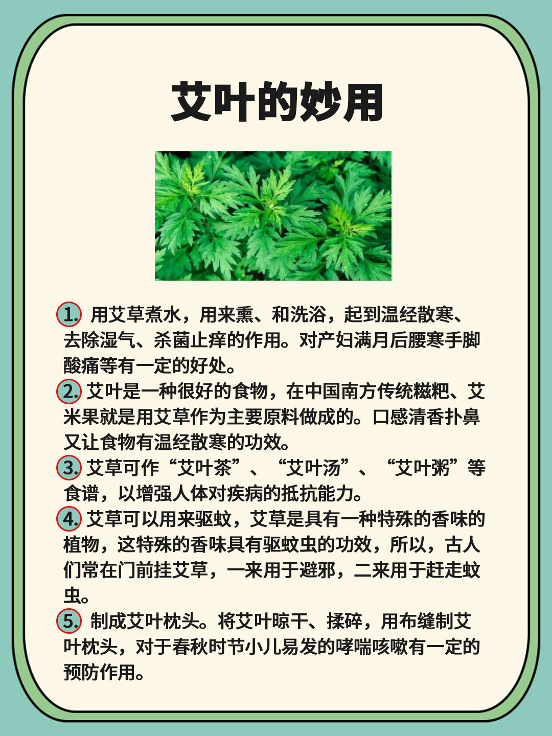 大风艾的功效图片