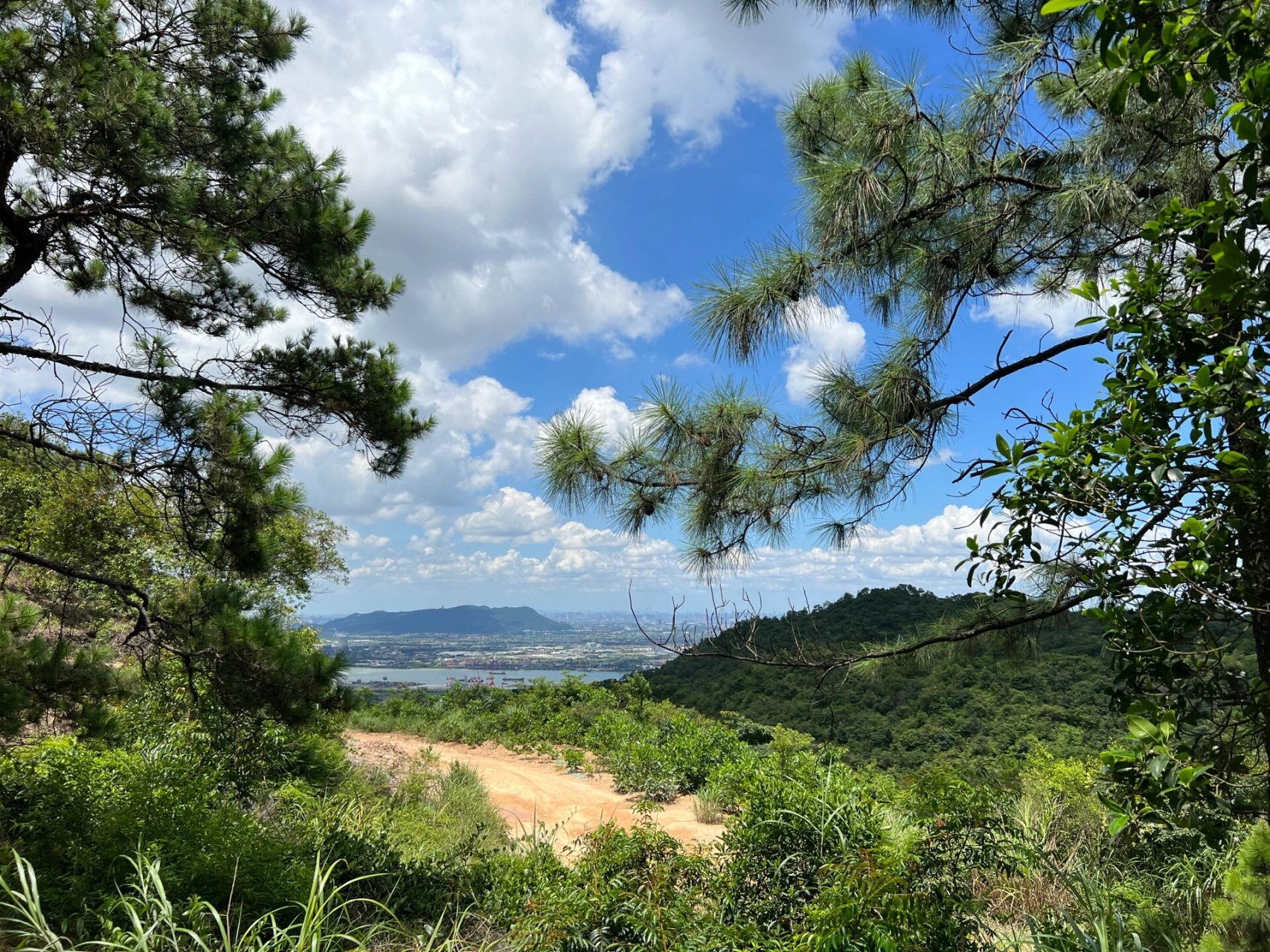 走进大自然, 享受大自然的美 ～ 这里是鹤山茶山,这次我们没有去玩水