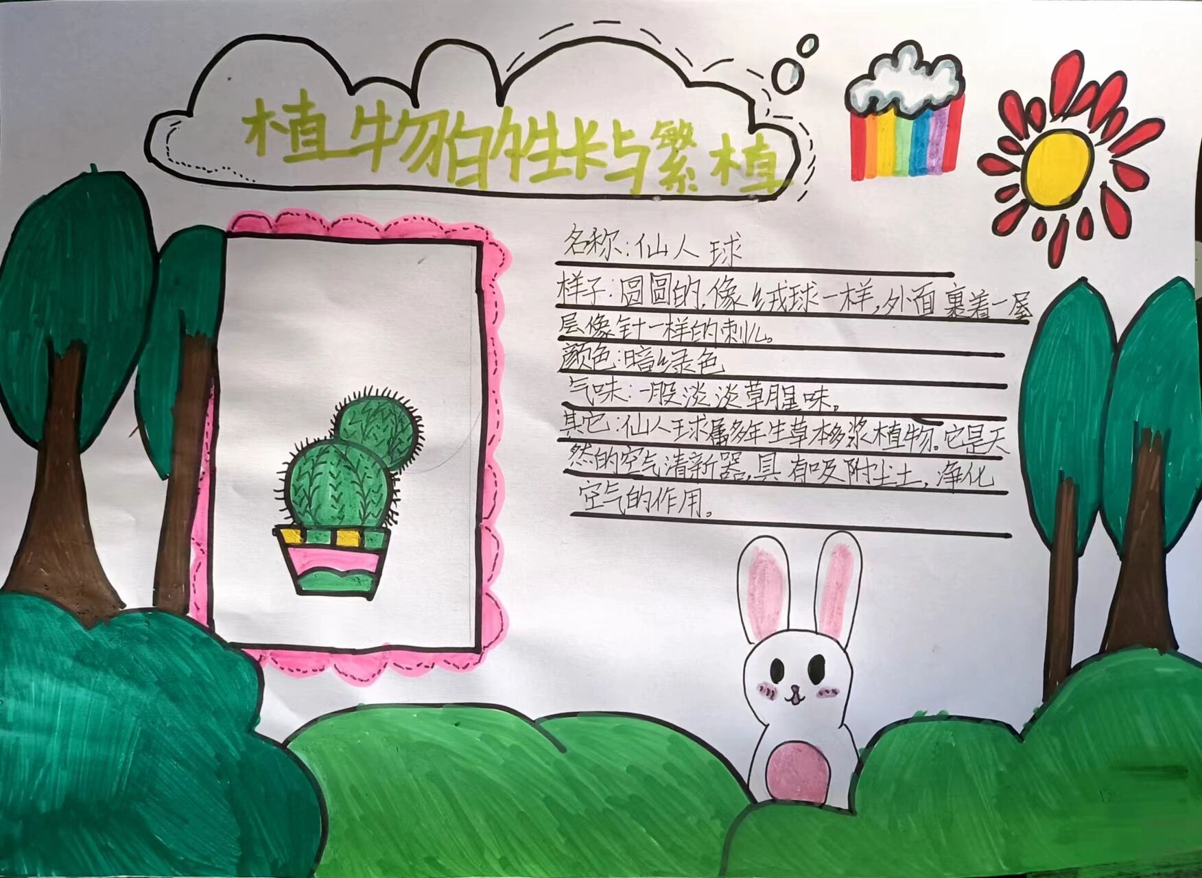 科学手抄报:植物的生长与繁殖 马赛克的地方是名字