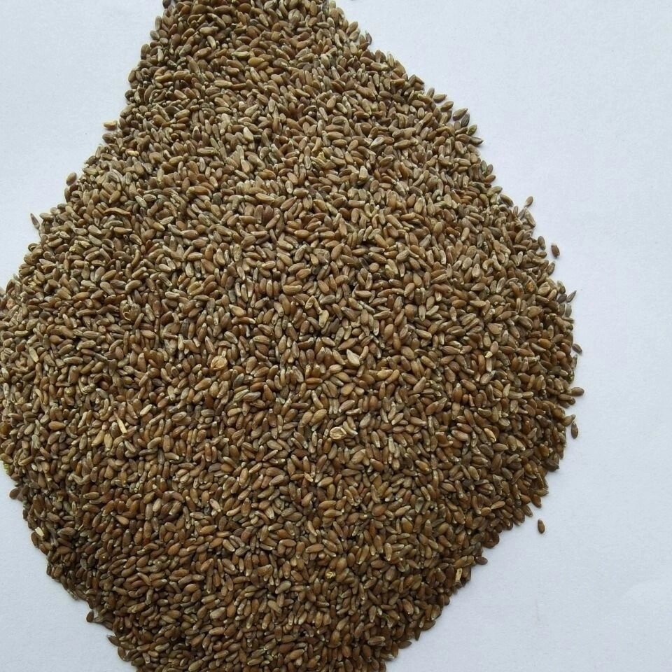 中药材沙蒿子药食同源,可用来做面条,馒头,将沙蒿籽放在面粉中,放入