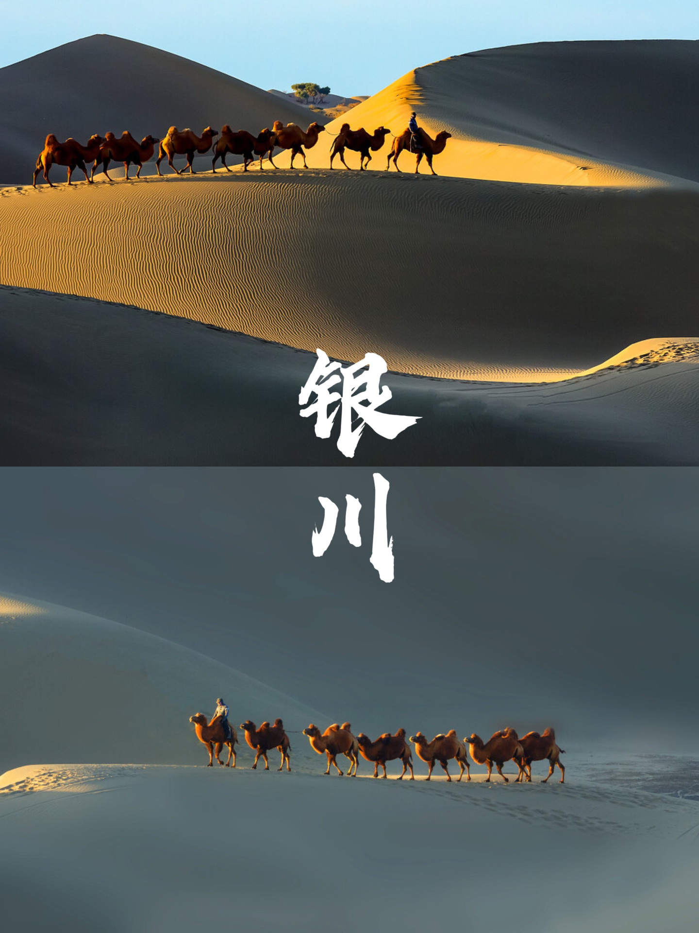 为游客提供别样的旅游体验九游体育- 九游体育官方网站- 九游娱乐APP下载- 助力世界杯