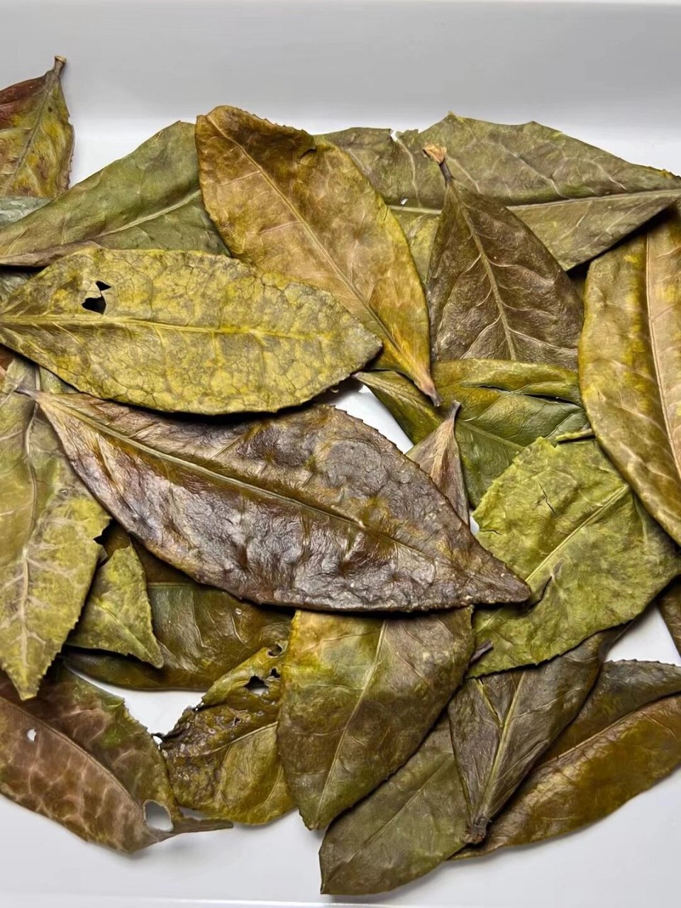 关于荒野冬片的小知识科普,看完你就懂了.