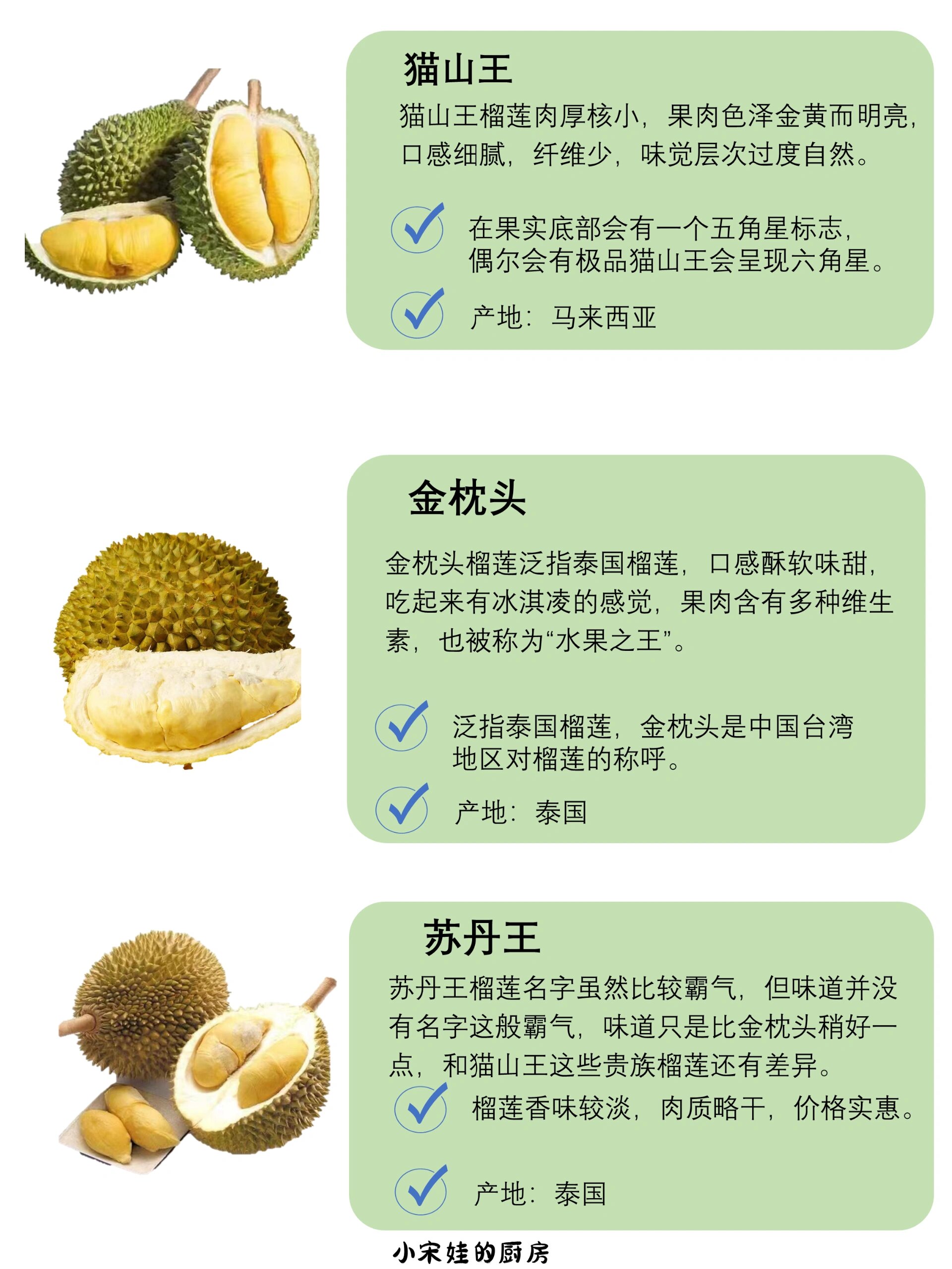 常见榴莲品种合集