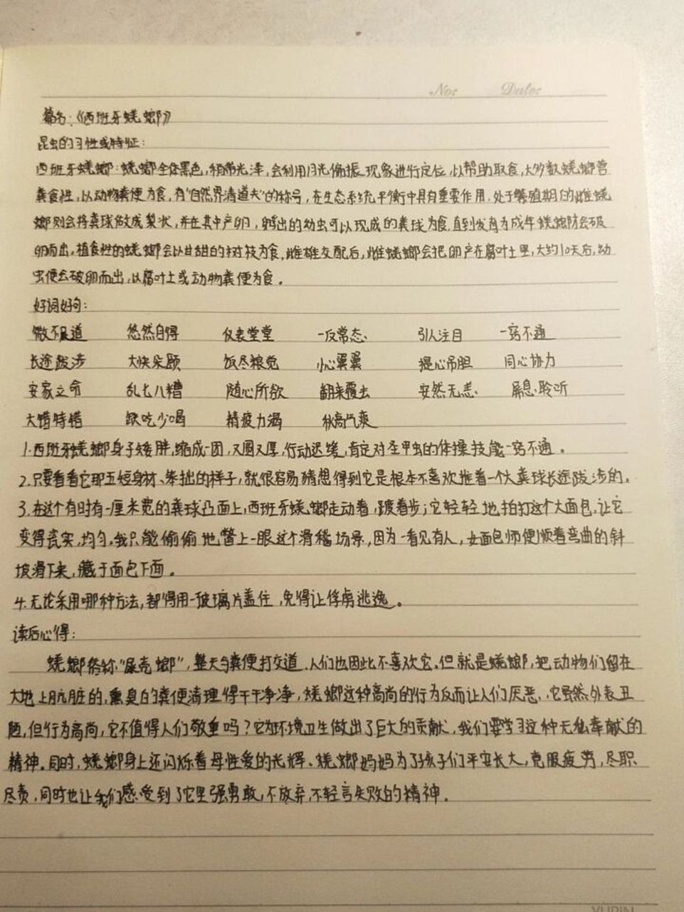读书笔记《西班牙蜣螂》