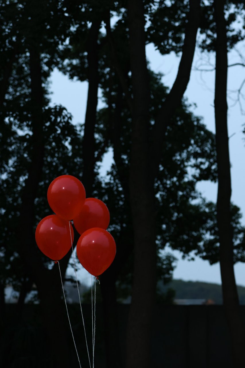 易烊千玺背花氛围感