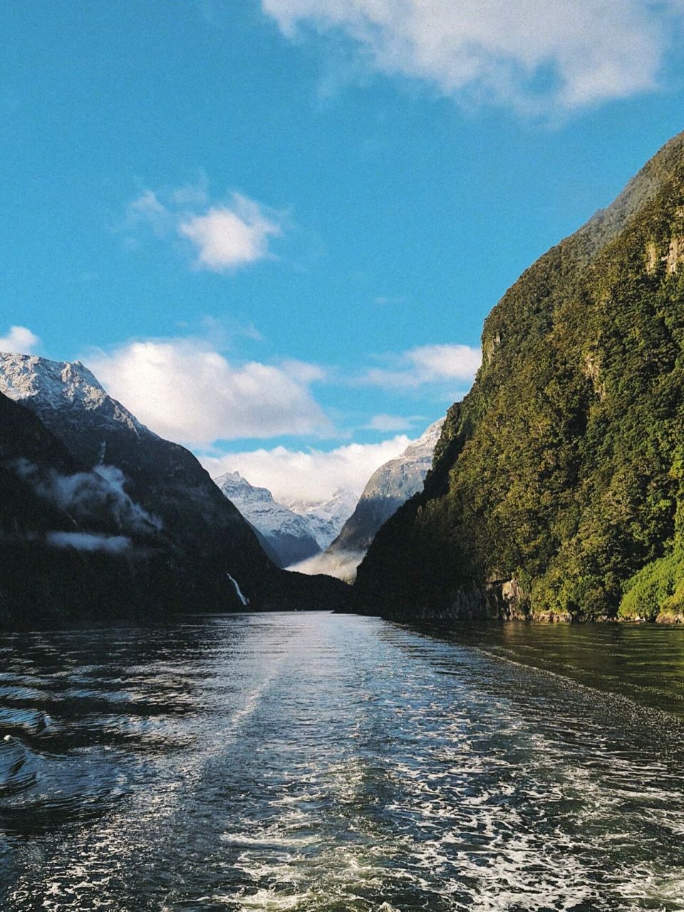 世界第八大奇迹之新西兰米尔福德峡湾 99米尔福德峡湾位于新西兰南