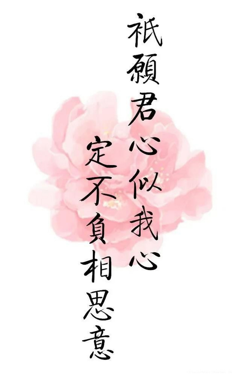 一句诗表达你的思念愿君心似我心,定不负相思意.