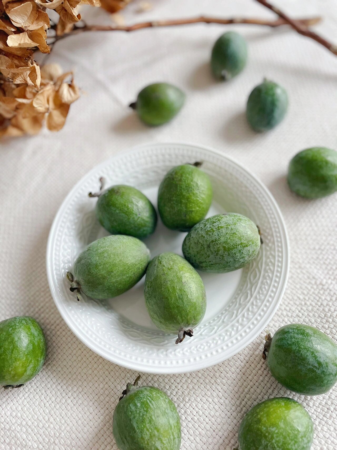feijoa菲油果/斐济果品种介绍 ▷唯一(unique) 果小至中大,卵圆形,