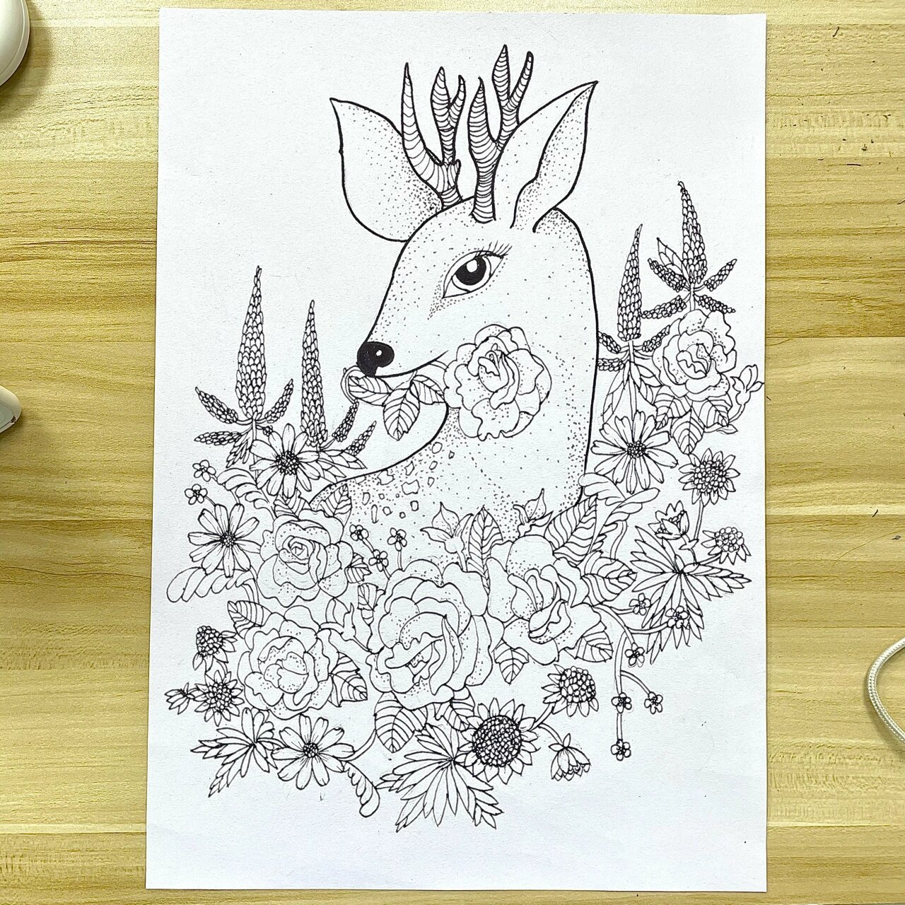 黑白线描画 花 动物 小鹿04