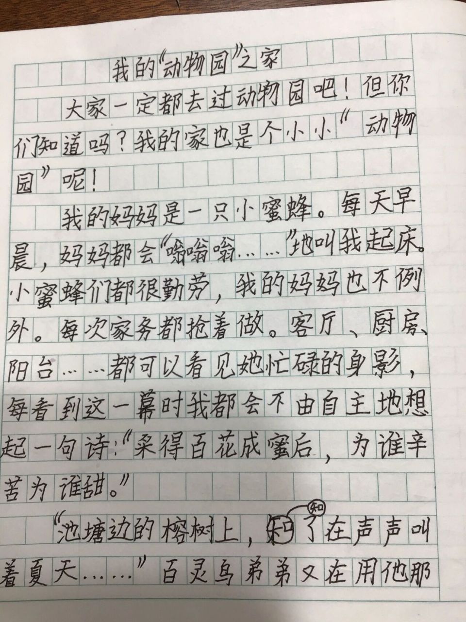 动物之家作文图片