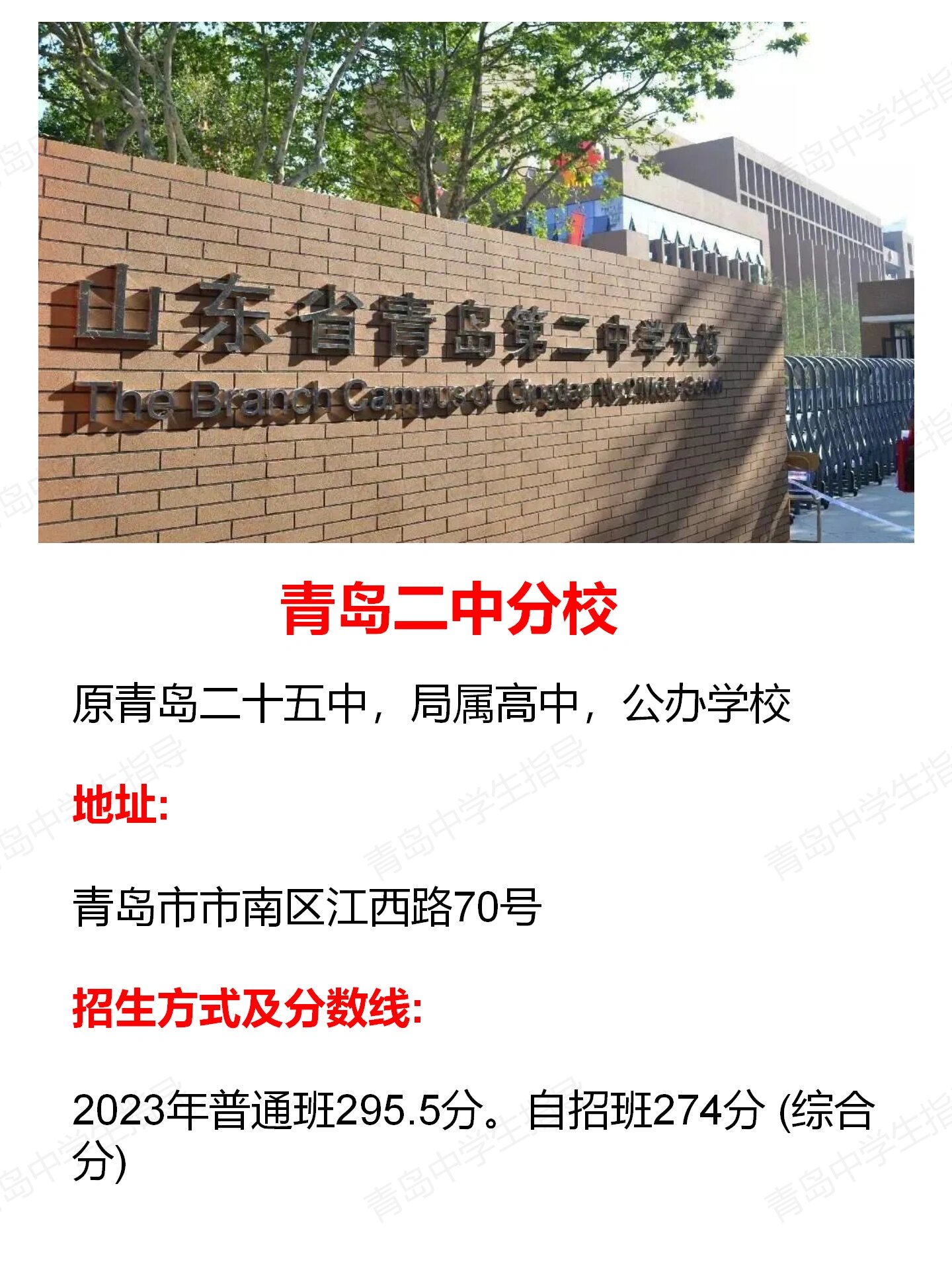 一篇分清 今天先跟大家区分一下青岛二中各分校的区别