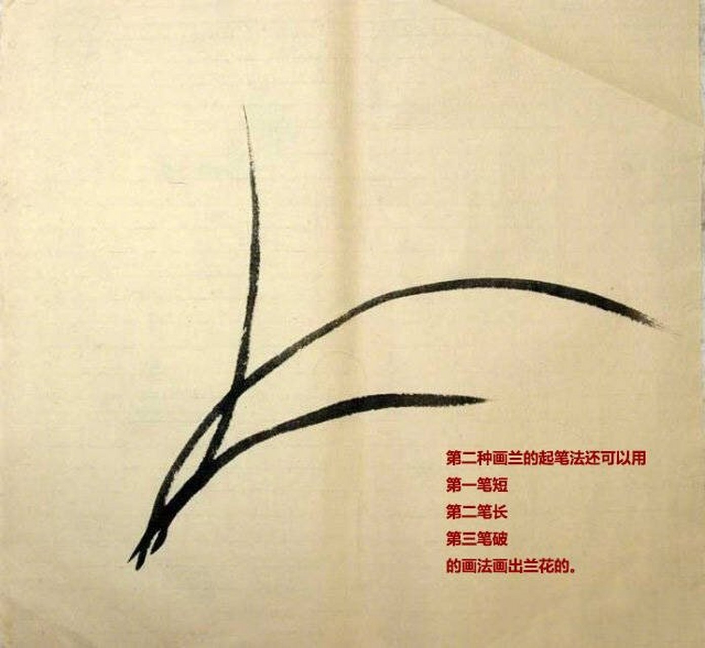 【国画技法:兰花的画法解析】请画友们参考[话筒[话筒[话筒#书画