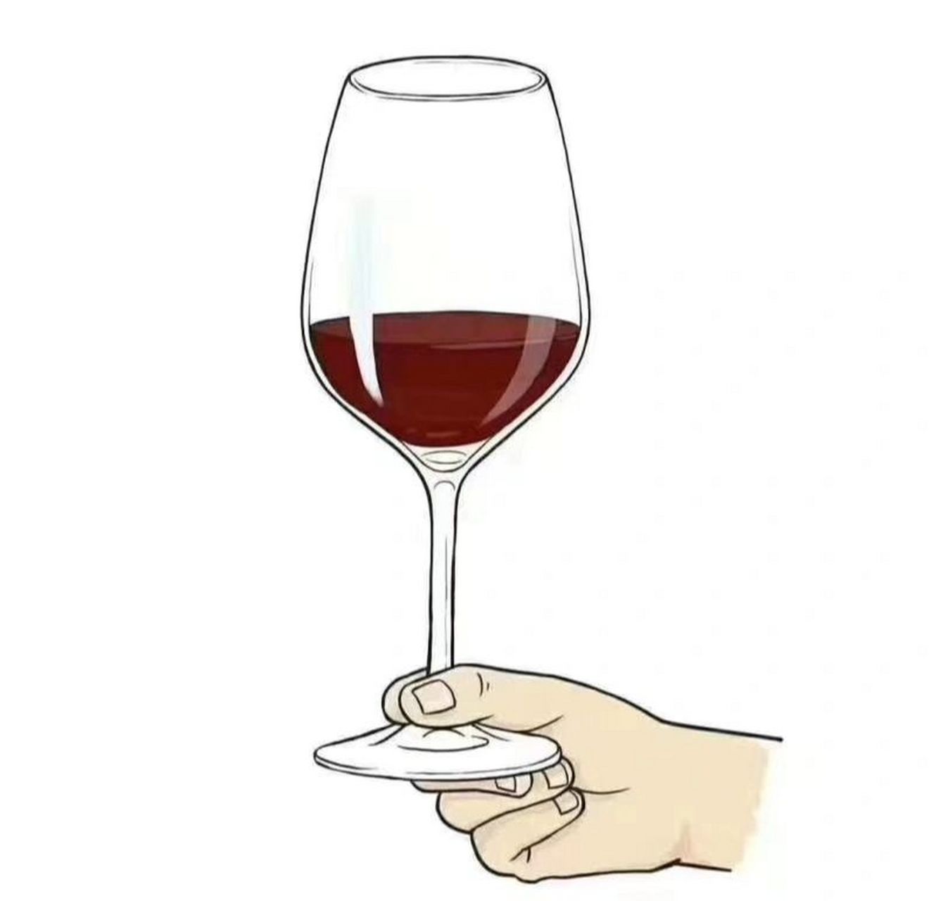 正确的四种红酒杯拿法,你是哪种? 很多人直接拿上面吧