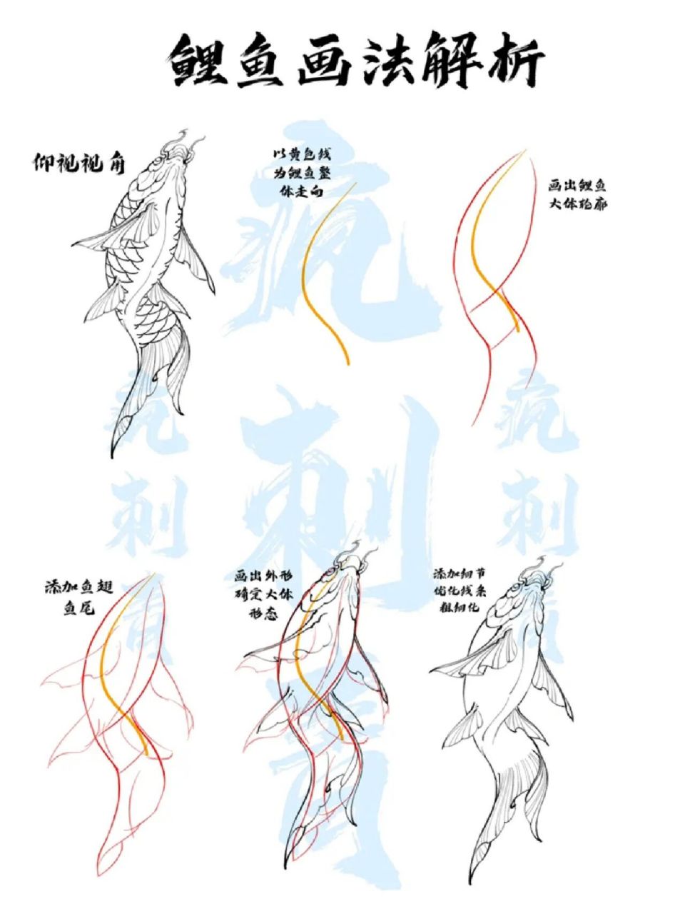 鲤鱼画法解析 此形态为仰视角度,构图需灵活不可死板.勤加练习.