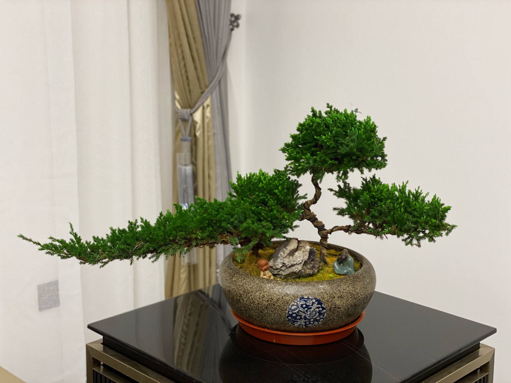 迎客松盆景98|青松愉快|乔迁礼物|祝寿 迎客松盆景极具观赏性,造型