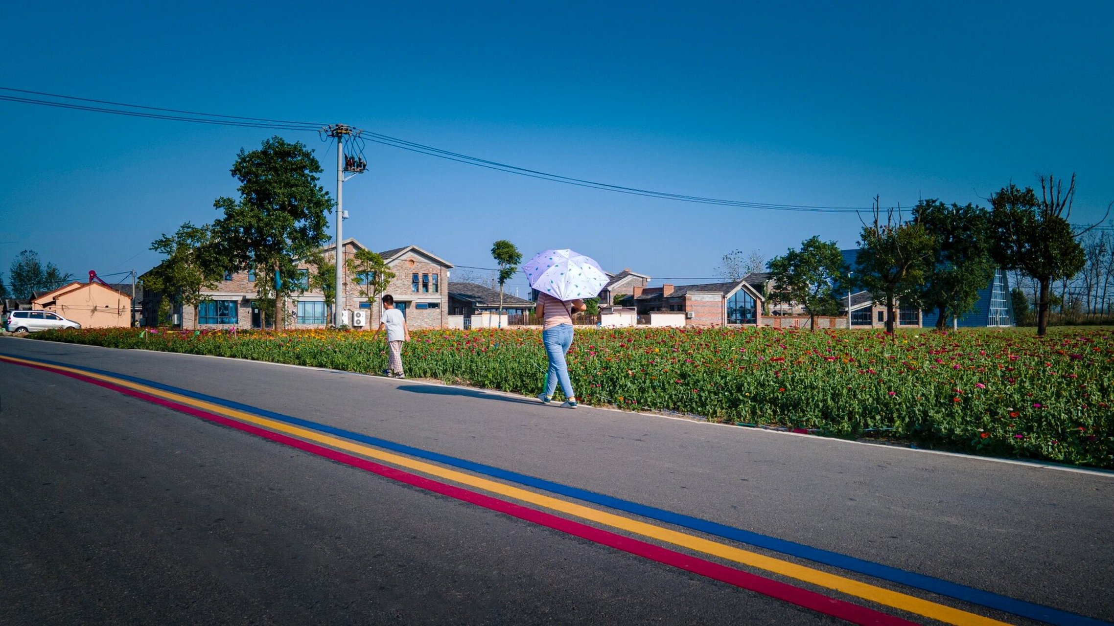 向上的马郢村  马郢村位于长丰县杨庙镇,马郢获评全国乡村旅游重点村