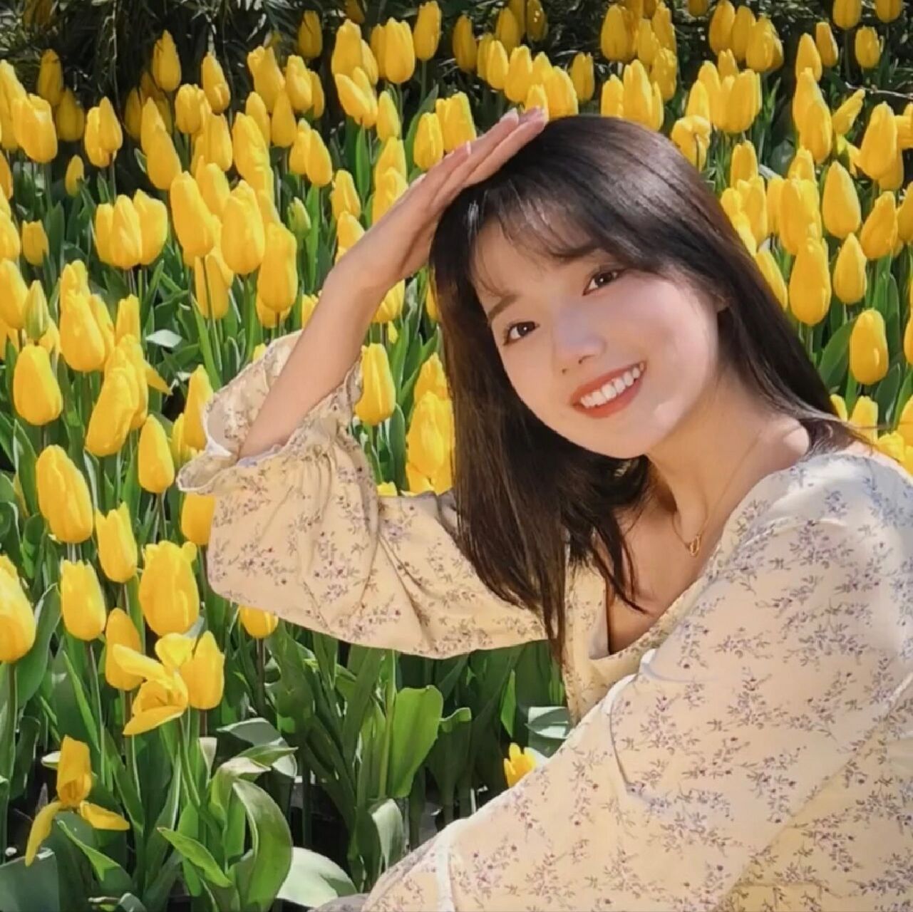 郁金香女生头像