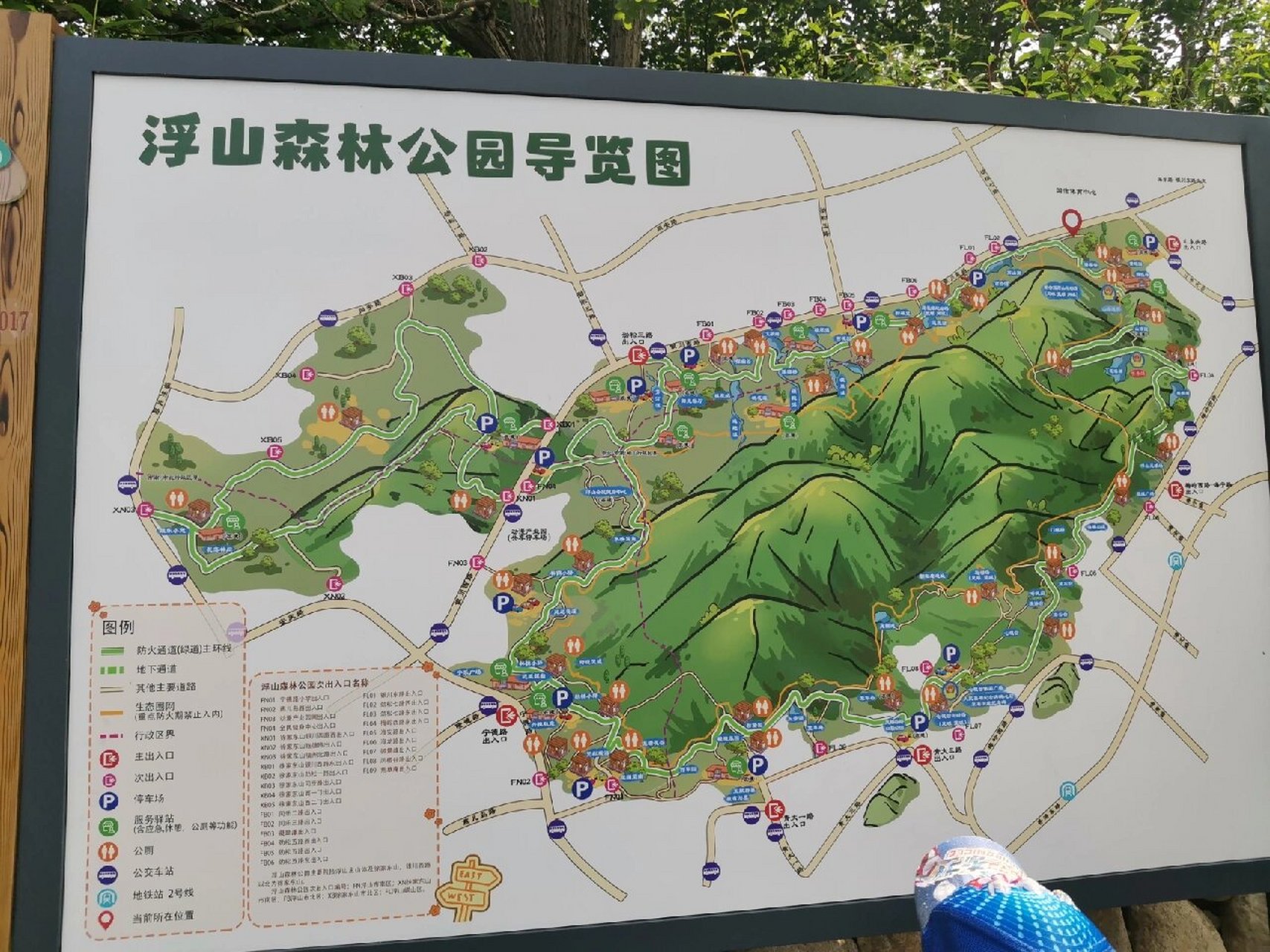 青岛浮山地图图片