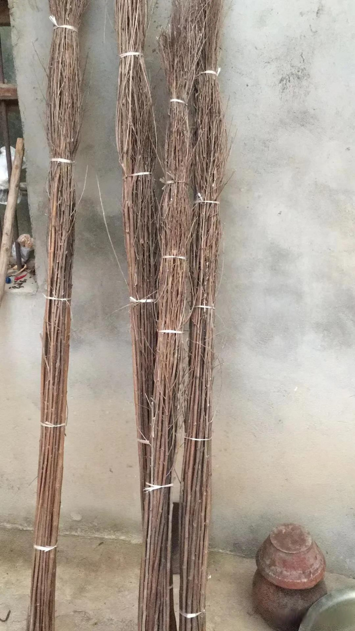 我敢说四川人除了西昌人认识这是啥,其他人都不认识,更别说成都人了!