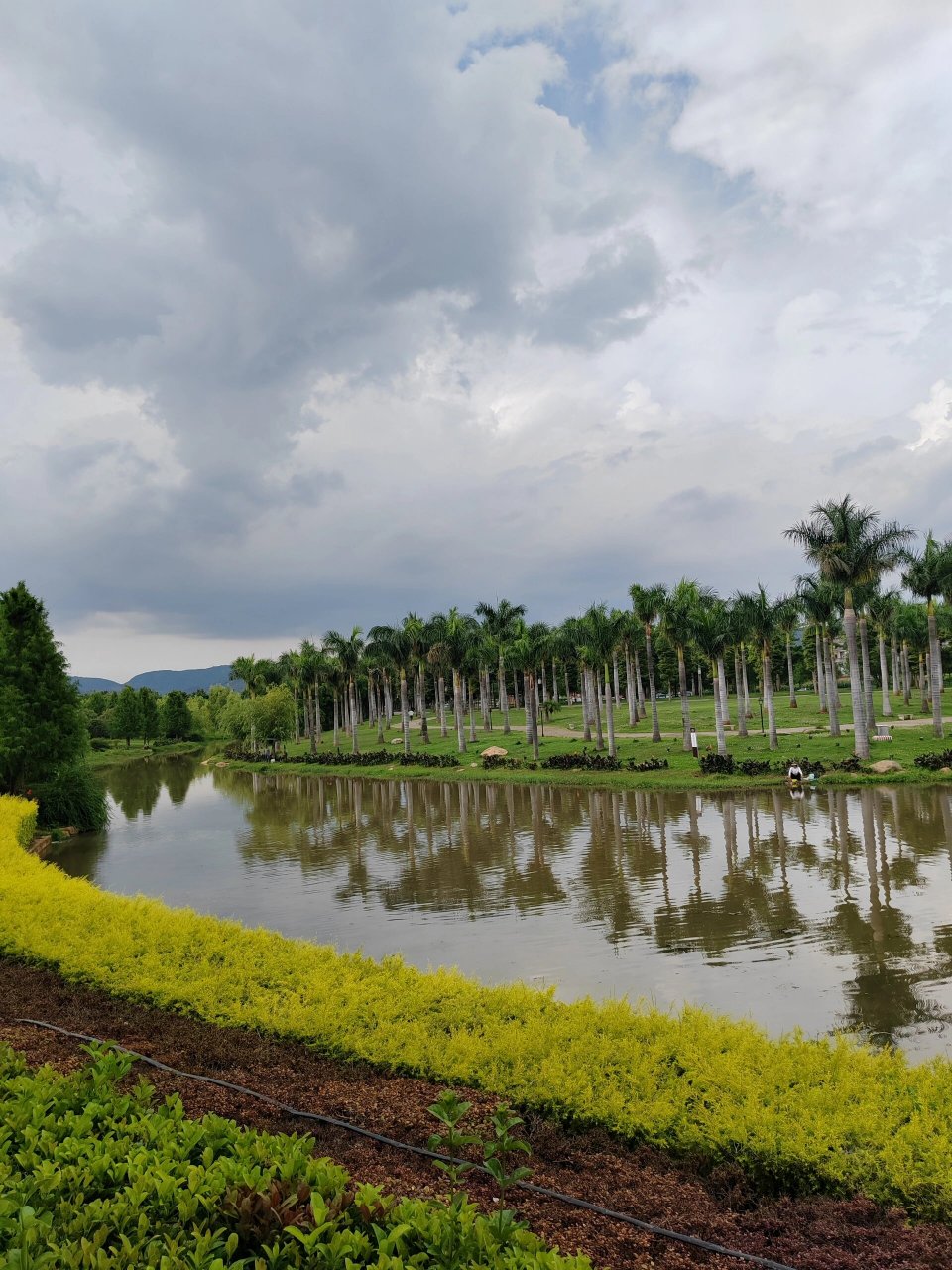 弥勒甸溪河湿地公园 不要门票的市政公园,却带来很大的惊喜,树林里上