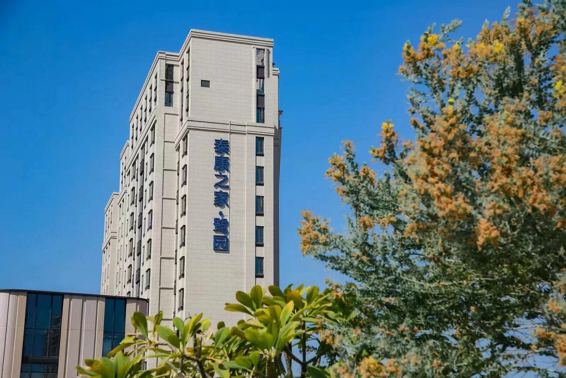 旅居到厦门,就住泰康之家鹭园 打卡:厦门泰康之家·鹭园 67候鸟养老