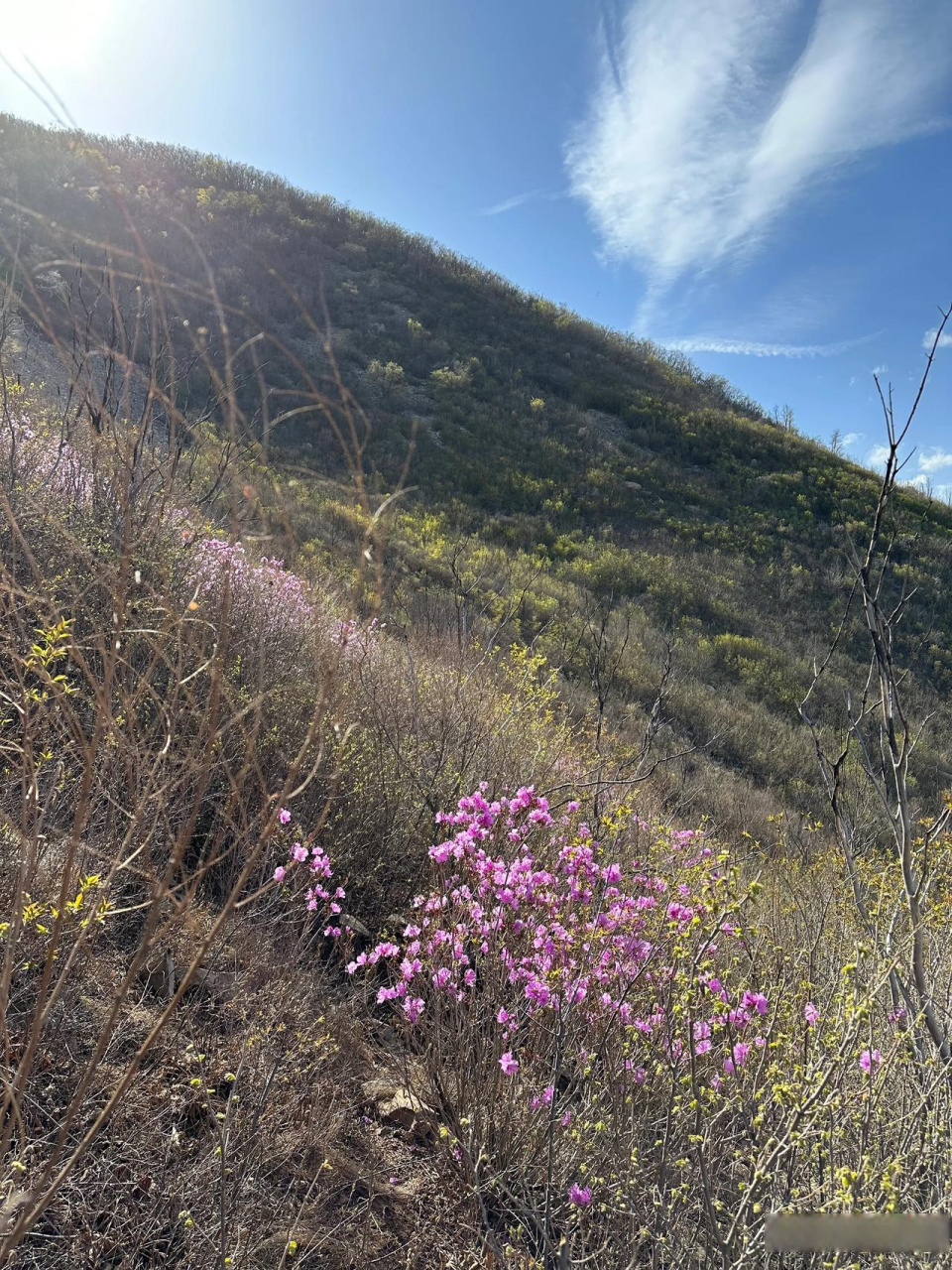 朝阳云蒙山自然风景区图片