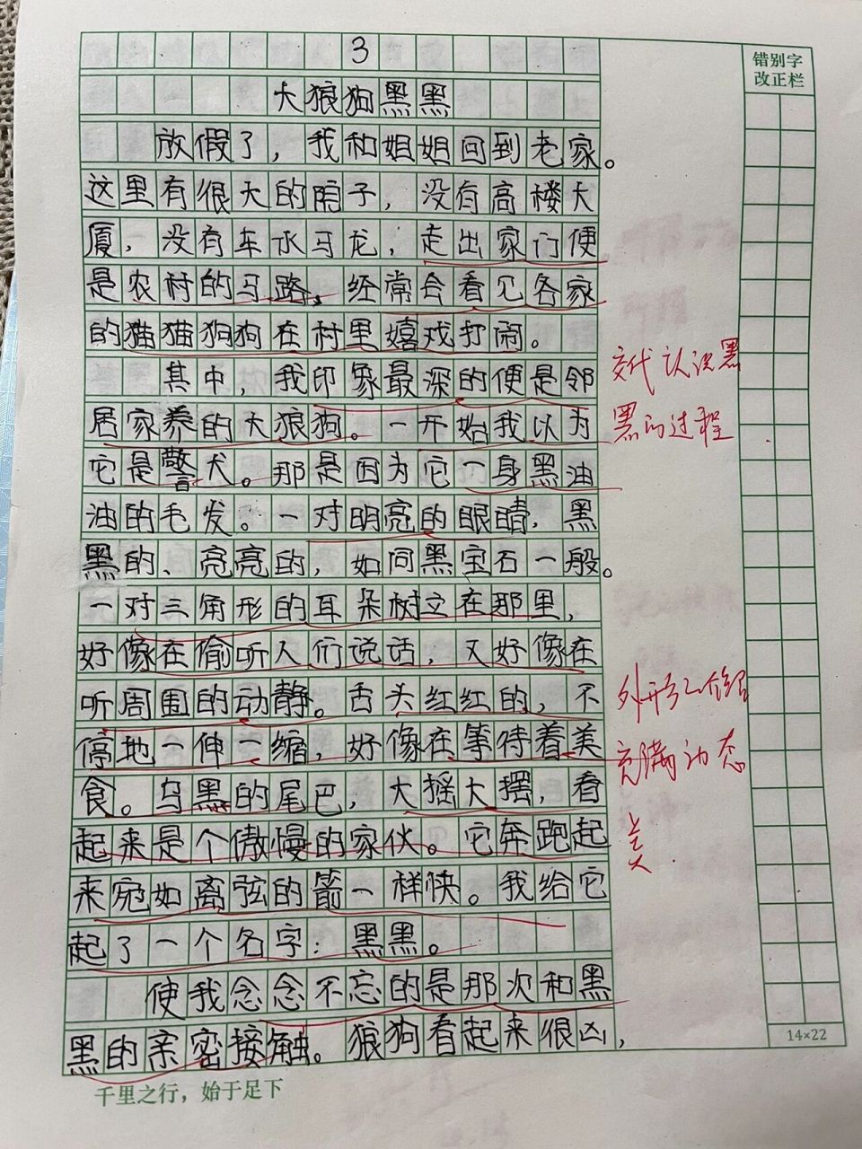 四下语文-第四单元作文:我的动物朋友 四年级下册 语文 第四单元作文