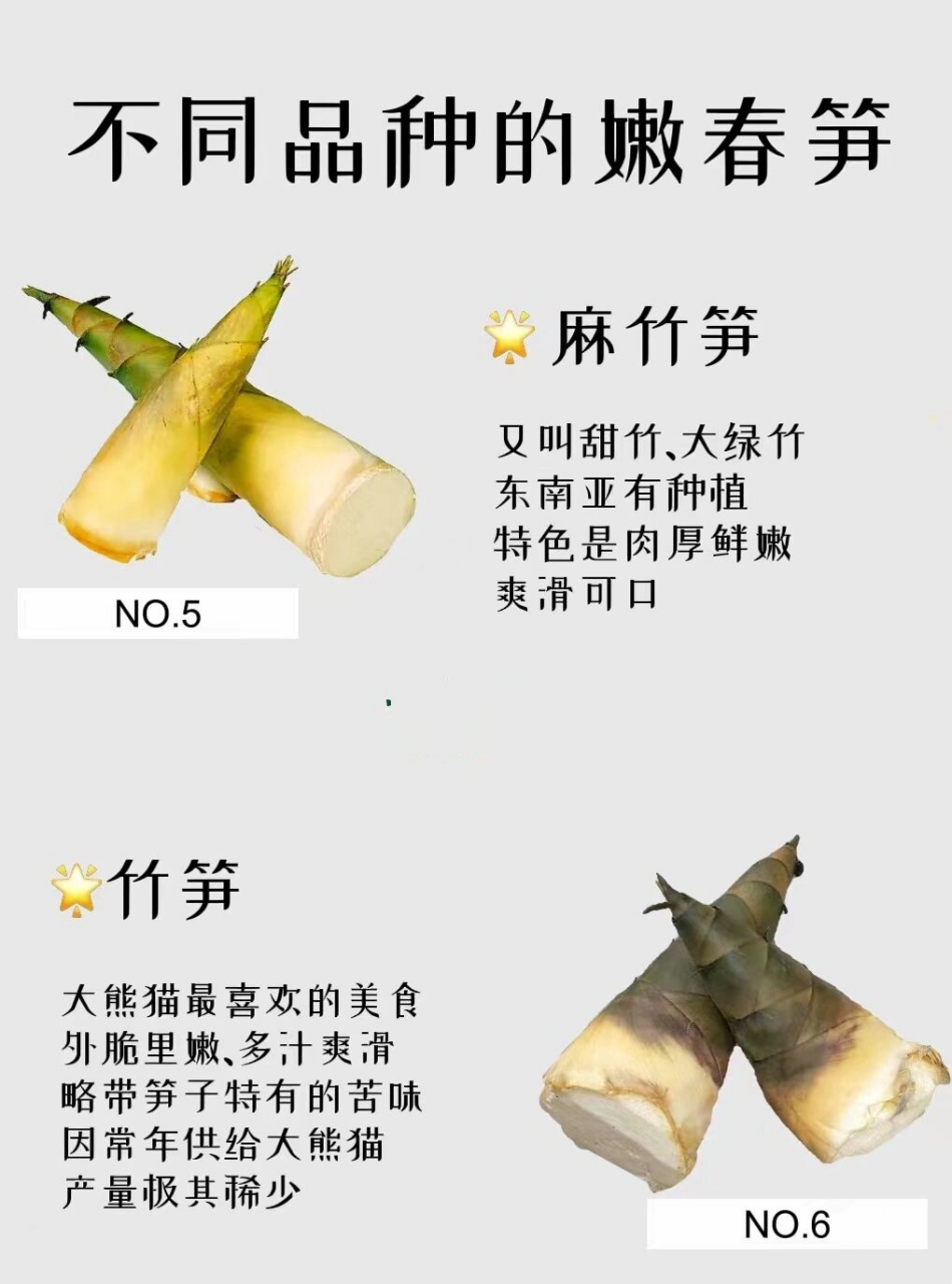 0169♂15不同品种的鲜嫩春笋合集!