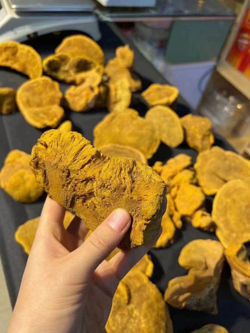 桑黄中的桑黄 西藏紫油黄～野生桑黄,号称抗癌之王在唐代桑黄用于治疗