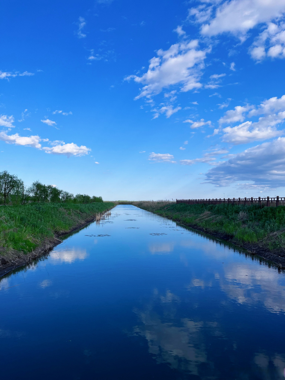 漫步在湿地公园,感受水天一色的辽阔与宁静.