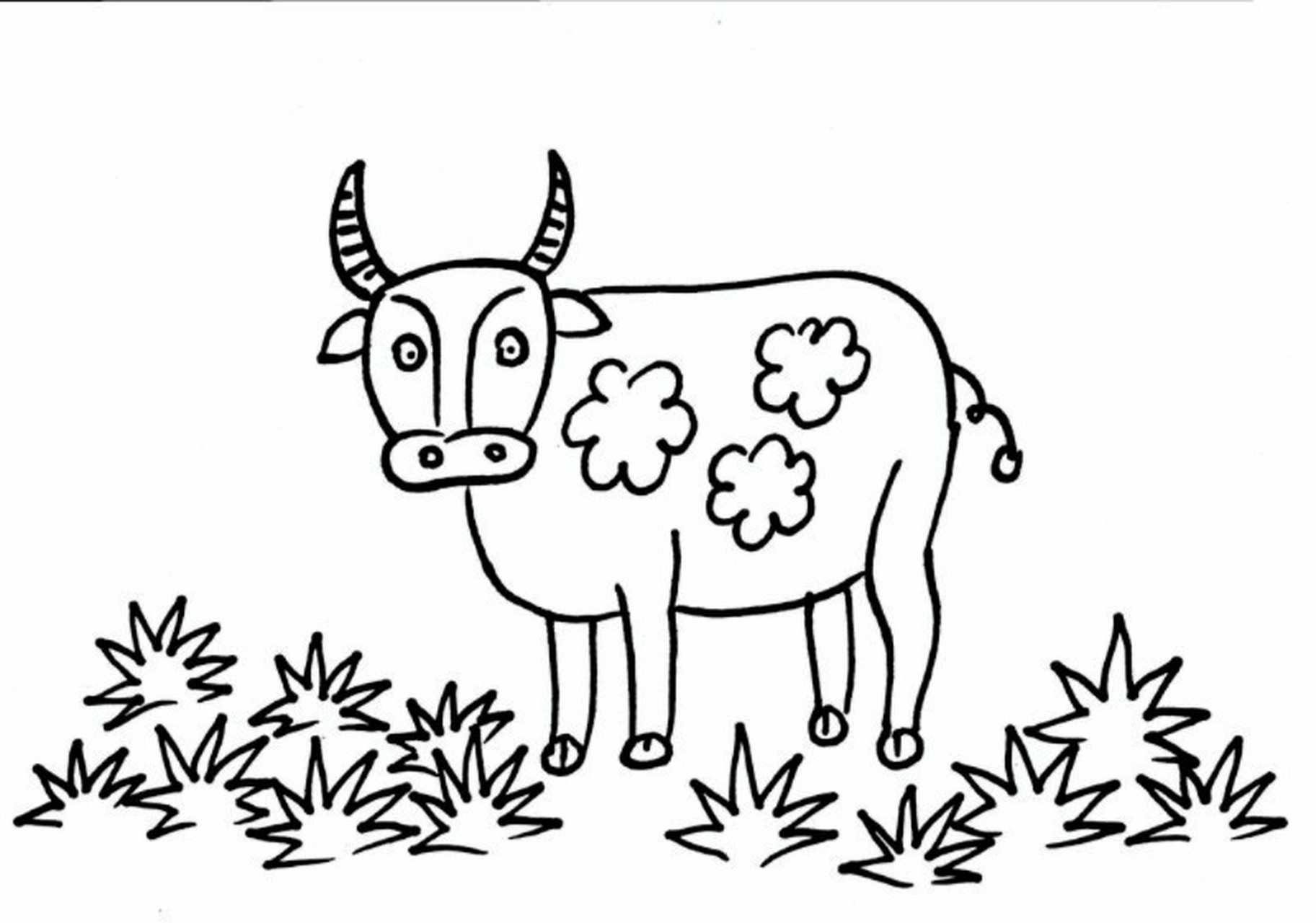 2021年牛年绘画简笔画图片