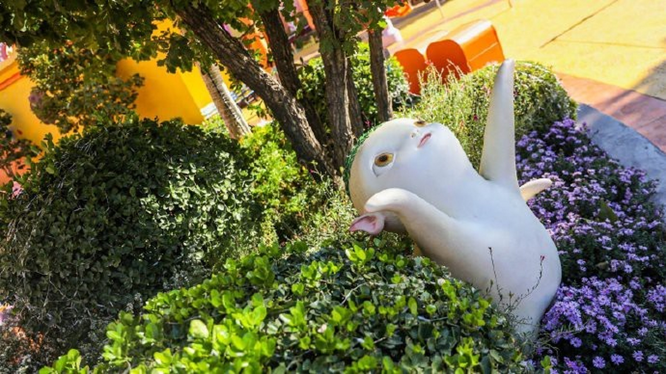 笑不活了,怎么会有这么可爱的大萝卜精啊 !