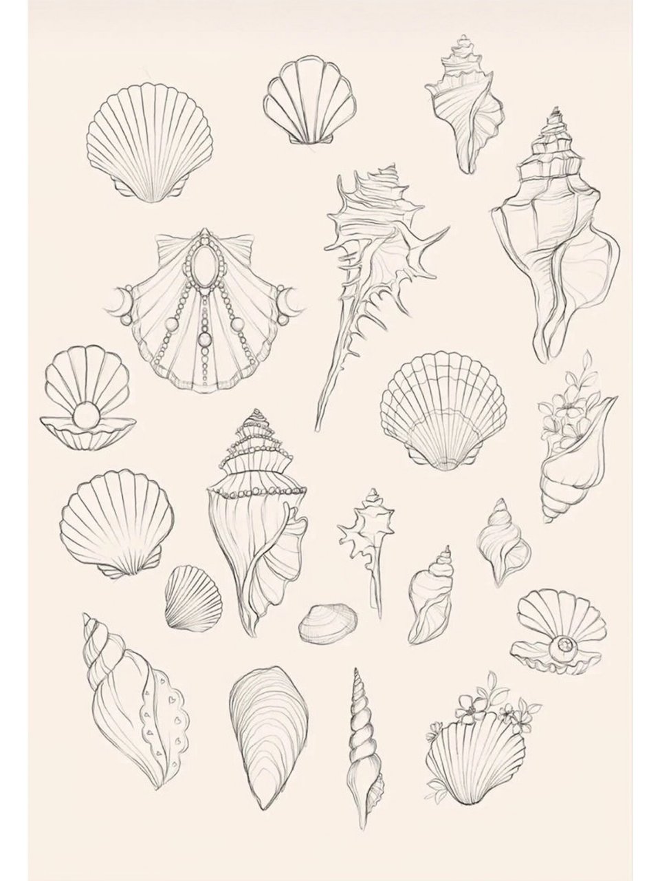 海螺凝聚着潮水的涛声,仿佛将大海的心跳带到你的耳畔;而贝壳则是大海