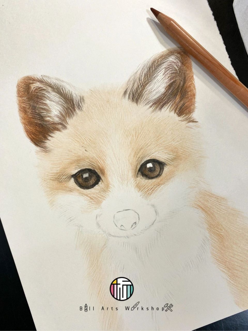 彩铅动物(小狐狸) 彩铅需要注意排线,黑白灰关系,虚实关系哦