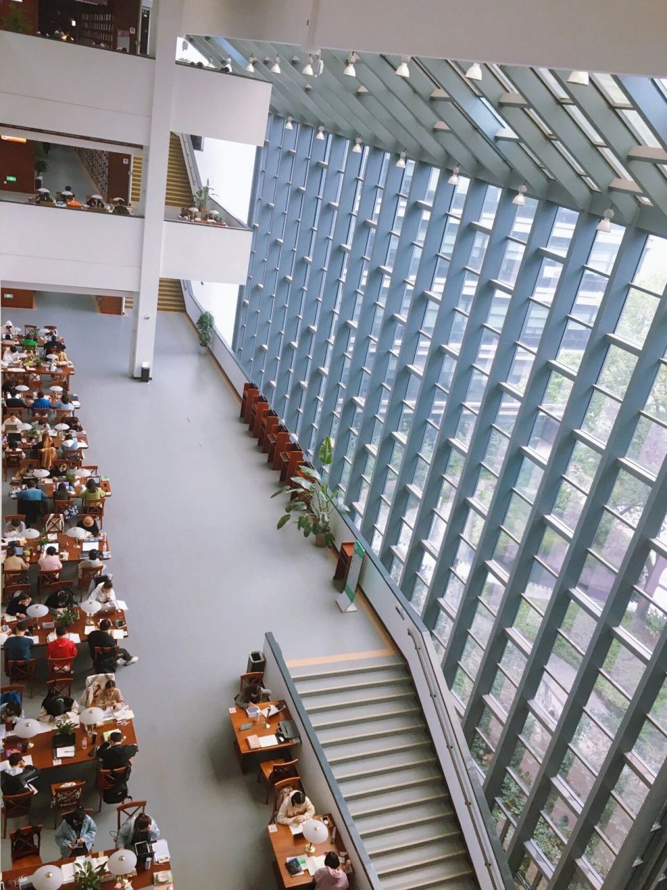 西南大学中心图书馆    北碚校区有三个图书馆,南图,北图和中图都满满