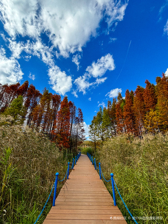 华美湿地公园图片