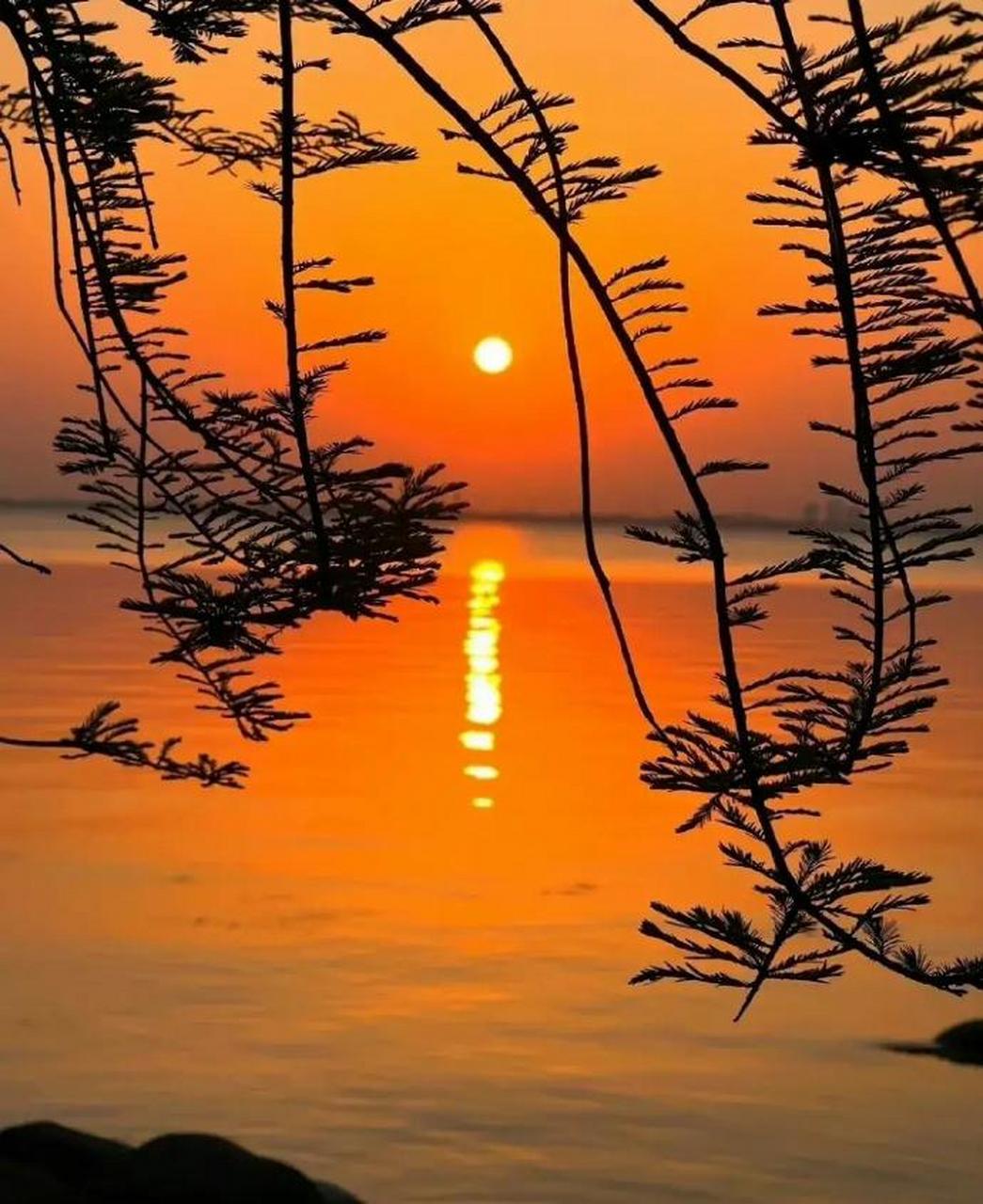 《湖上》 徐元杰 〔宋代〕 花开红树乱莺啼,草长平湖白鹭飞.